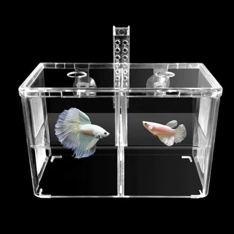 격리 베타 치어격리통 부화통 플라스틱 칸막이 분할 치어받이 수족관용품 열대어키우기