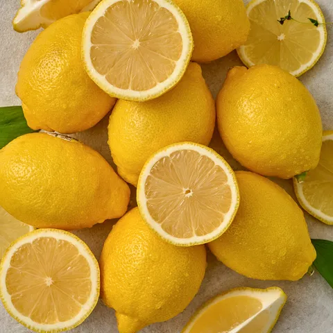 팬시 레몬 중소과/대과 10과 20과