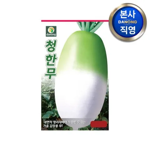 청한무 씨앗 50g . 야채 채소 무우 가을 파종 김장 텃밭 재배 씨 종자