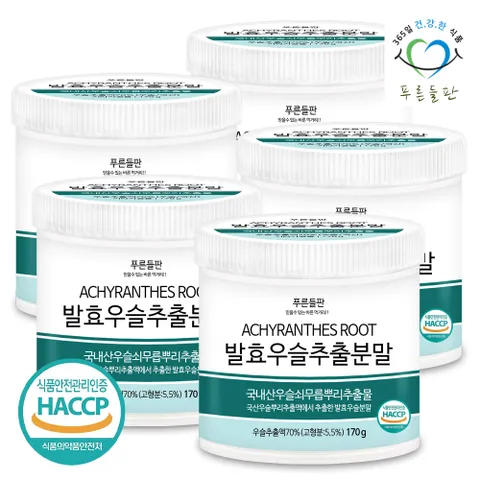 국산 발효 우슬 추출 추출물 분말 가루 haccp 인증 170gx5통