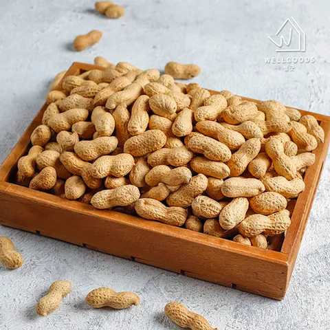 [웰굿] 여주 산지직송 고소한 여주 생땅콩 3kg