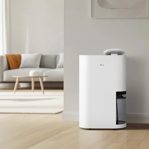LG 휘센 오브제컬렉션 엘지 제습기 18L DQ185MWGA