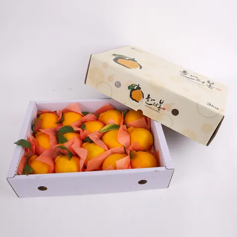 제주 한라봉 선물세트 4.5kg 중과 (부직포 포장)