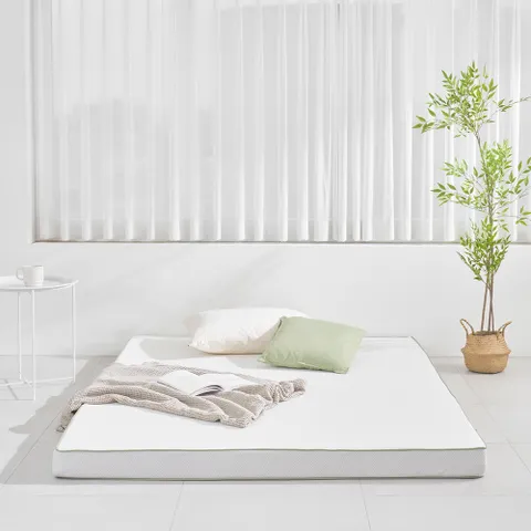 지누스 그린티 플러스 메모리폼 토퍼 (10cm/퀸)