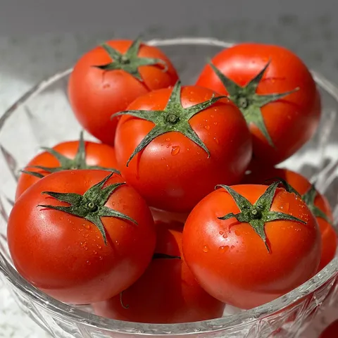 프리미엄 완숙 찰 토마토 대과 3kg 5kg 산지직송