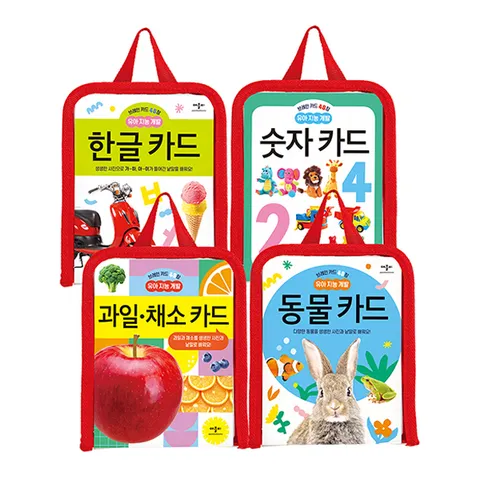 브레인 카드 48장 - 유아 지능 개발 카드 (전 4종 / 선택구매)