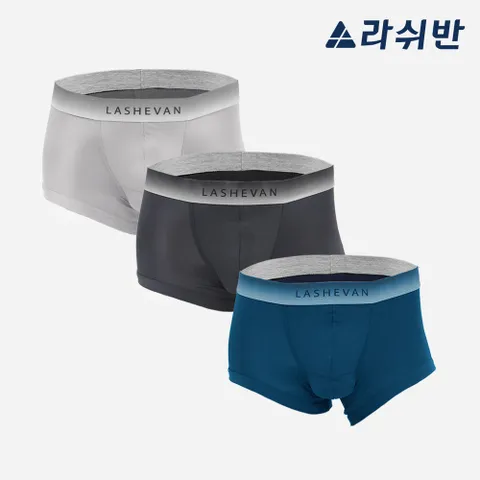 프리미엄] 셀루켓 무브 3종