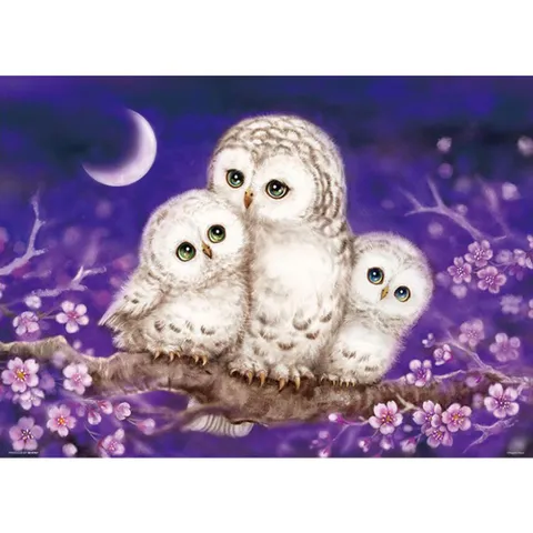 부엉이보석십자수 엄마 딸  패브릭  보석십자수 40x50 패브릭보석십자수