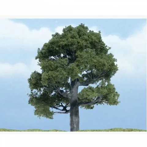 오크나무 (1개입) JWTR1606