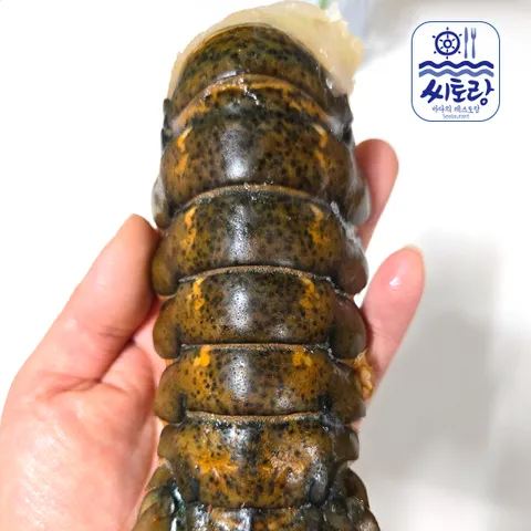 캐나다 랍스터테일 3미/마리당 110~120g