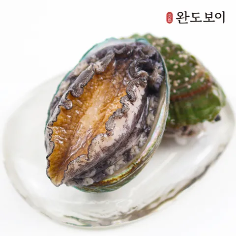 완도보이 산소포장 특대 활전복 1kg(10~11미)+전복 손질칼
