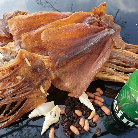 남해 쫄쫄이 오징어 건오징어 (중) (대) 사이즈 5마리 10마리