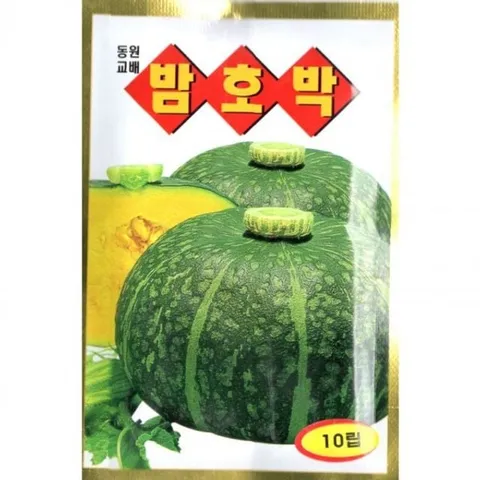 밤호박 종자 씨앗 텃밭 2025 장식 밤호박