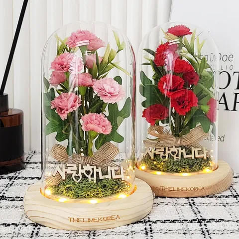 투게더 카네이션 유리돔 무드등 부모님 어버이날 선물