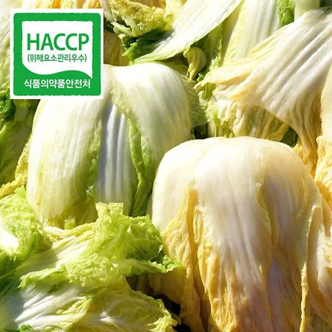 HACCP 해남 절임배추 20kg 예약발송