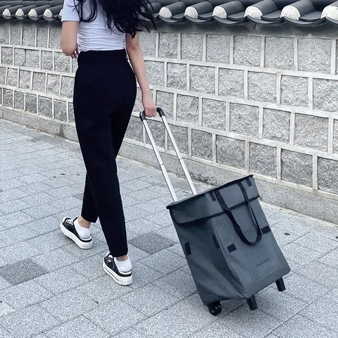 접었다폈다 모니즈 접이식 패브릭 핸드카트 장바구니 컬러3종