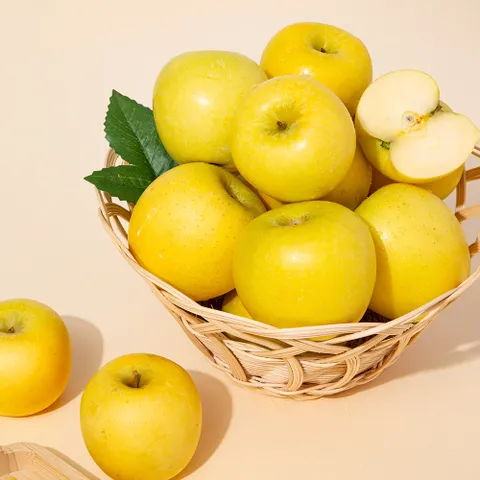 [미식한가] 황금사과 시나노골드 정품 3kg 10-14과