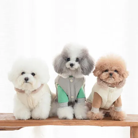 펫츠랜드 겨울 강아지옷 패딩조끼 토토 베스트