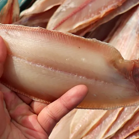 [통영삼공주]반건조박대중대 400g5미 x 2팩