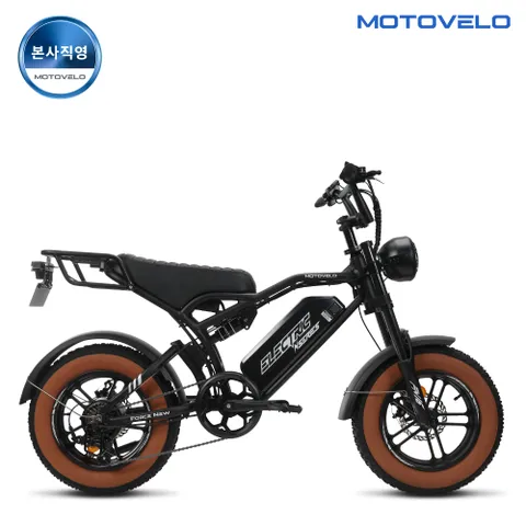FN16 PAS 500W 48V 20Ah 자토바이 전기자전거