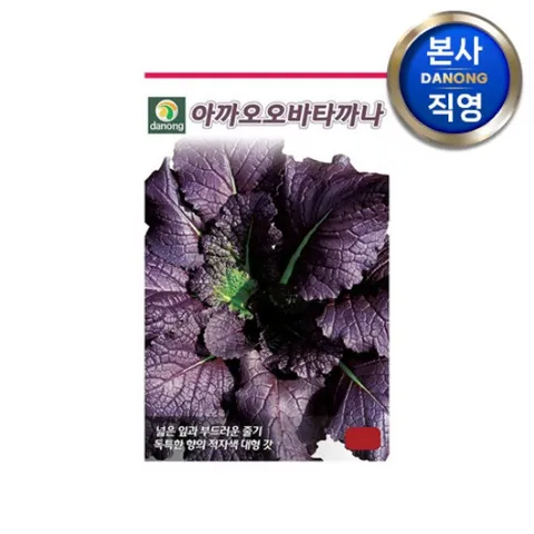 아까오오바타까나 적갓 씨앗 20g . 채소 텃밭 재배 주말 농장 파종 씨 종자.