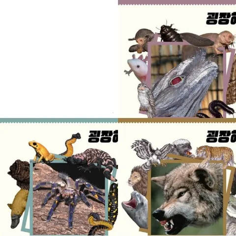 굉장해 동물도감 세트 (전3권) - 독한.징그러운.포악한