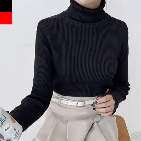 에이치플러스몰 여성 기본 골지 목폴라 니트 1P 슬림핏 데일리 니트티 여성목폴라니트