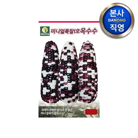 미니얼룩찰1호 옥수수 씨앗 100립 . 채소 검정 소과종 찰옥수수 키우기 종자 야채 씨.