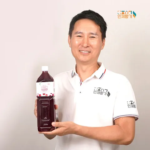 인제향기 생 오미자청 엑기스 원액 1.5L 선물 선택 물 한방울 넣지않은 100% 오미자 발효 진액 전통방식 자연숙성