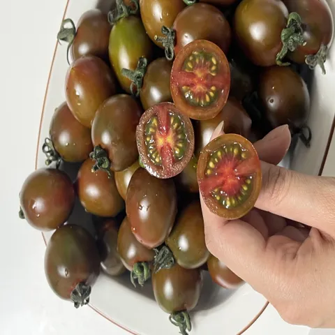 대저 흑대추 방울토마토 1kg