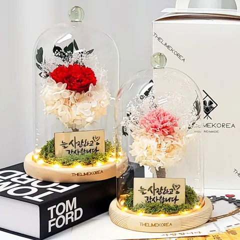 어버이날 카네이션 생화 프리저브드 유리돔 부모님 선물