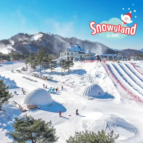 [문자발송] 홍천 비발디파크 스노위랜드 스키 보드 소노호텔앤리조트