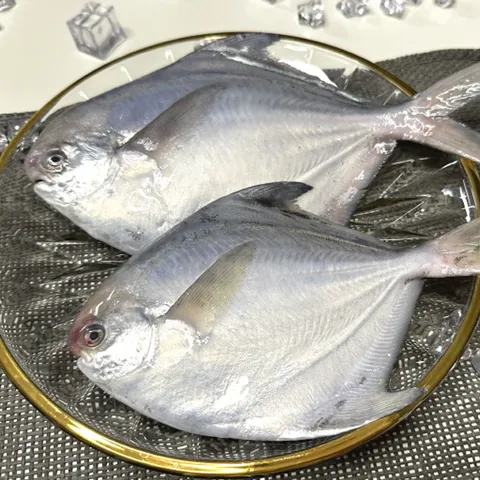 생물 병어 국내산 1kg