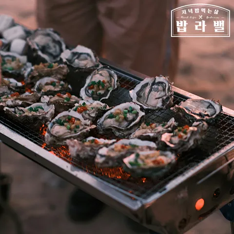 남해안 여수 제철 석화 굴 산지직송 5kg