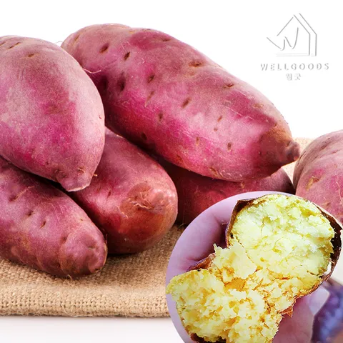 [웰굿] 퍽퍽한 스콘구마 25호 밤고구마 3kg한입,개당20-50g