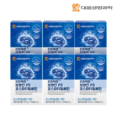 인지력엔 브레인 PS 포스파티딜세린 3개월분