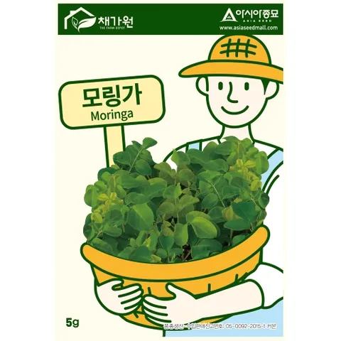 아시아종묘 씨앗 모링가 5g