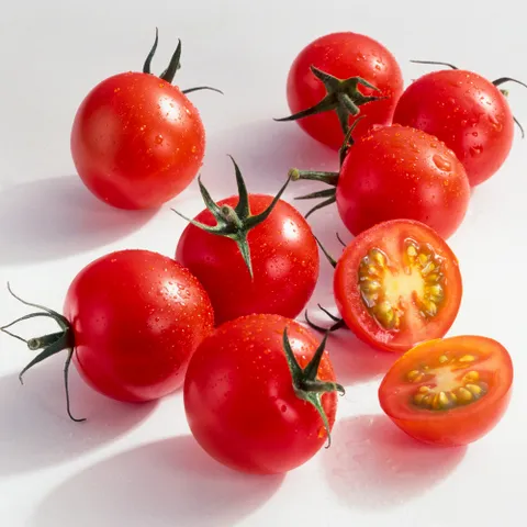스테비아 방울토마토 대추 방울토마토
