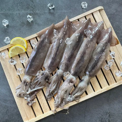 손질 통오징어 2미 400g x 4개