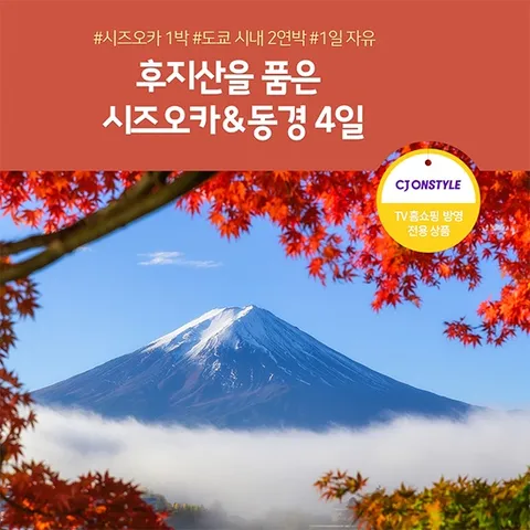 노랑풍선 시즈오카 도쿄 4일 #후지산 #특식 #자유일정포함