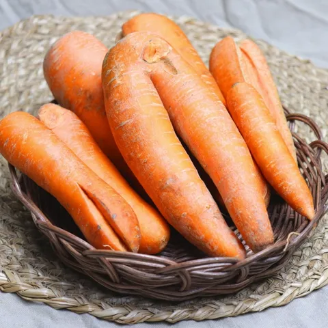 못난이 당근 햇당근 주스용 3kg 5kg 10kg