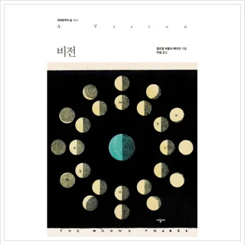 비전 (세계문학의 숲 31)