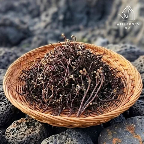 [웰굿] 산지직송 제주 건나물 건 고사리 100g