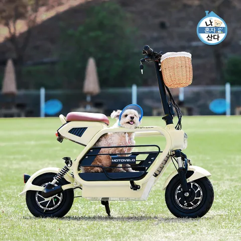 AKU2 PET 펫 750W 20Ah 댕쿠터 듀얼 전기/전동스쿠터