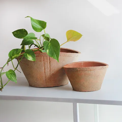 마이플랜트 모스 루트팟 인테리어 화분 빈티지 토분 테라코타 도자기 원형