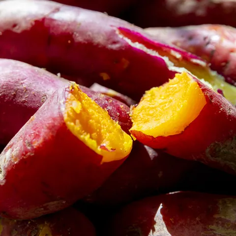 [베리세상] 해남 햇 꿀 고구마 3kg 중