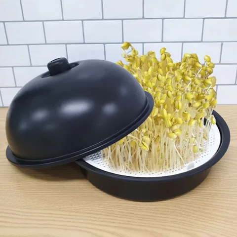 국내생산 콩나물 재배기 집에서 새싹 키우기 유치원 바른리빙 콩나물재배기 콩나물키우기 기르기