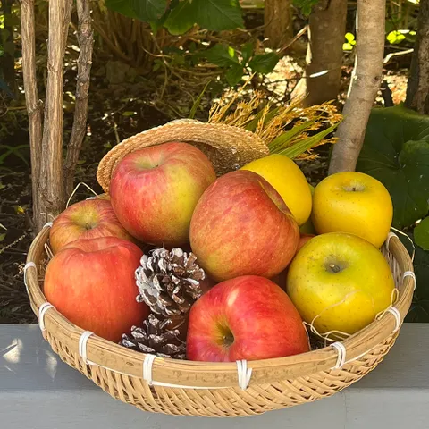 부사가정용A급(중과)3kg(12-14과)_공급