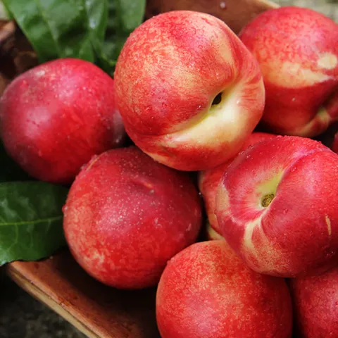 국내산 신선 천도복숭아 중대과 1kg 8-11과