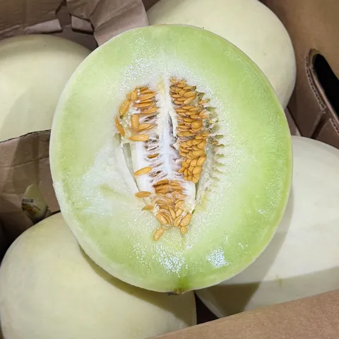수입과일 허니듀 메론 대과 3수 [P]